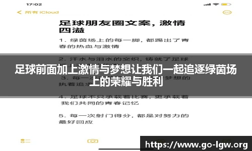 足球前面加上激情与梦想让我们一起追逐绿茵场上的荣耀与胜利